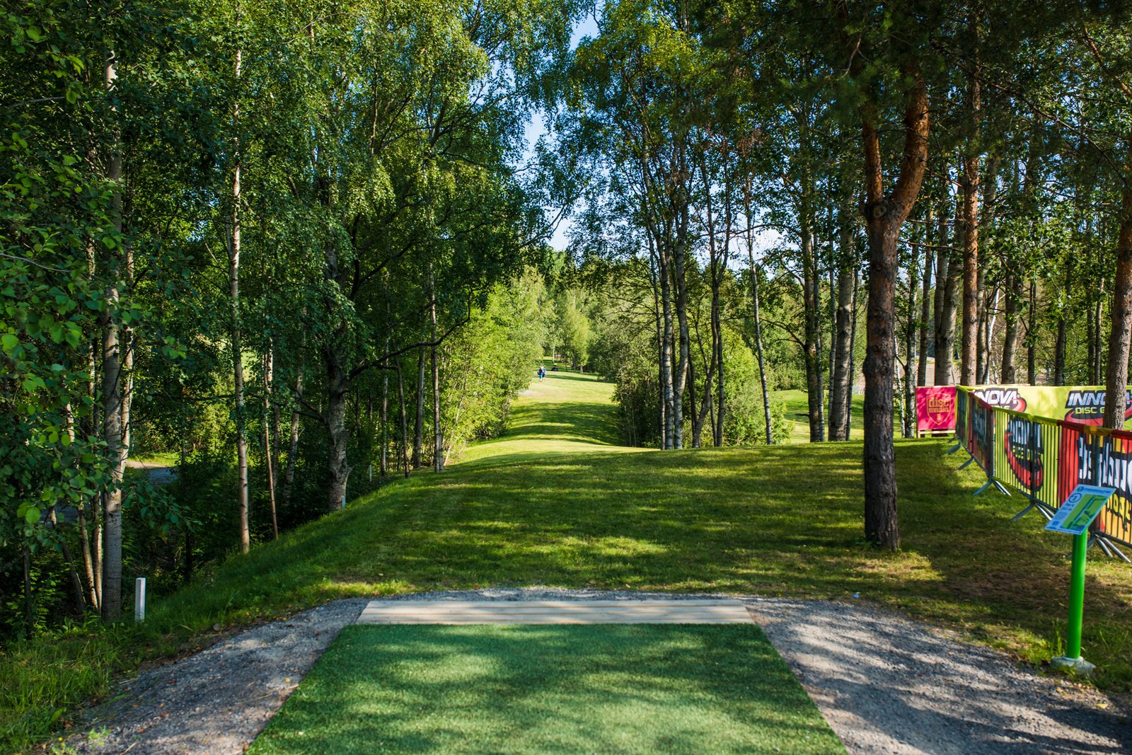 How to Get a Disc Golf Course Built