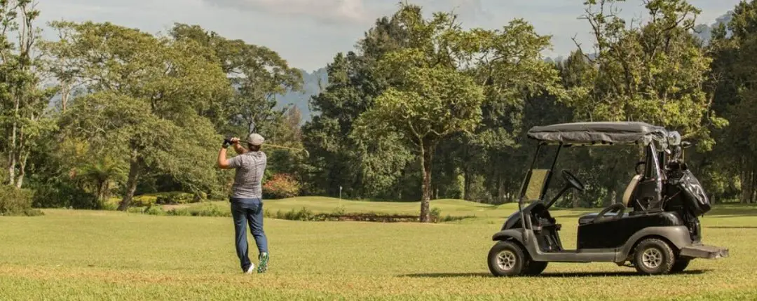 Why Are.People.Buying Golf Carts